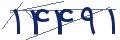cp-codfk