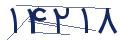 cp-codfk