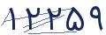cp-codfk
