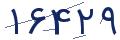 cp-codfk