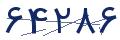 cp-codfk