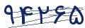 cp-codfk
