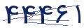 cp-codfk