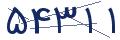 cp-codfk