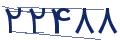 cp-codfk
