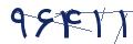 cp-codfk