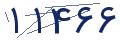 cp-codfk