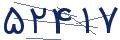 cp-codfk