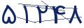cp-codfk