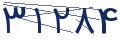 cp-codfk