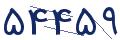 cp-codfk