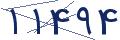 cp-codfk