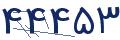 cp-codfk
