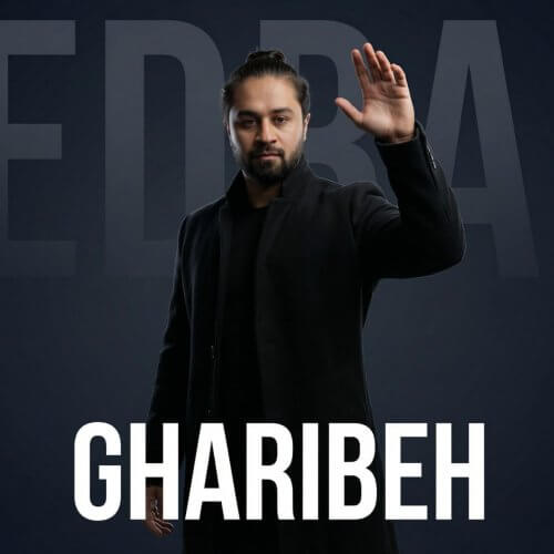 دانلود آهنگ جدید پدرام خسروی به نام غریبه