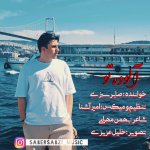 دانلود آهنگ صابر سبزی به نام آلوده تو