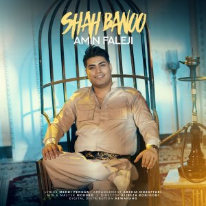 دانلود آهنگ امین فالجی به نام شاه بانو