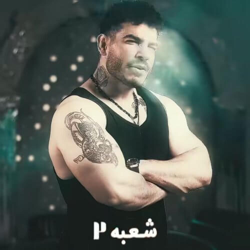 دانلود آهنگ جدید فرهاد فرهادی به نام شعبه دو