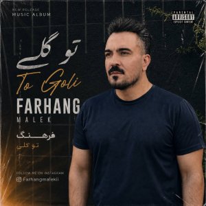 دانلود آهنگ فرهنگ ملکی به نام تو گلی