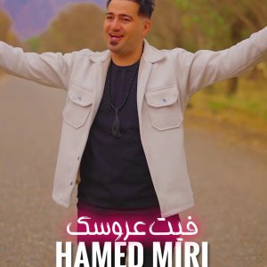 دانلود آهنگ حامد میری به نام فیت عروسک