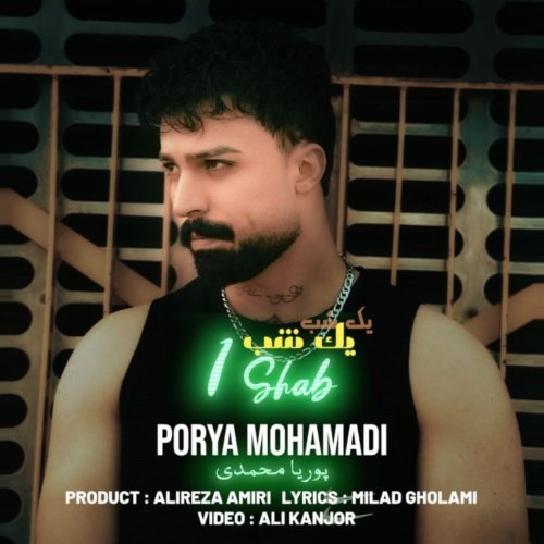 دانلود آهنگ جدید پوریا محمدی به نام 1 شب
